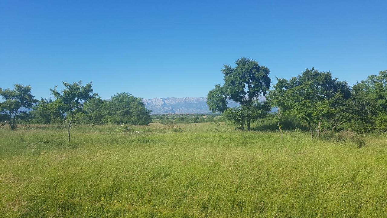 זאדאר Savrsen Odmor U Villa Ivona מראה חיצוני תמונה